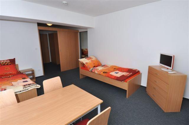Sport Hotel Ticha Orlice Ústí nad Orlicí Habitación foto