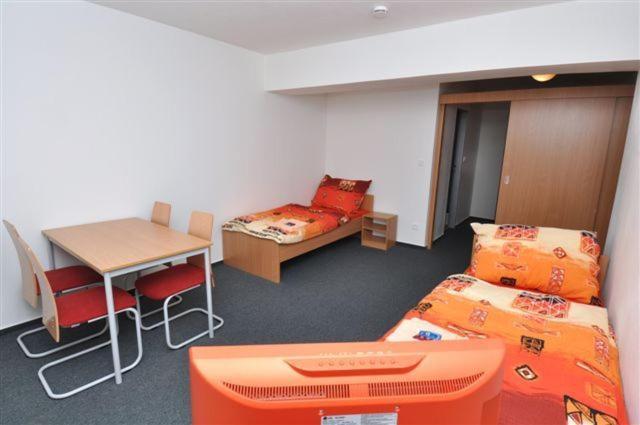 Sport Hotel Ticha Orlice Ústí nad Orlicí Habitación foto